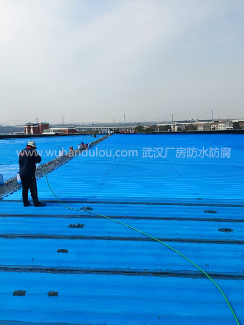 武汉警察培训学院体育馆屋顶彩钢瓦除锈喷漆