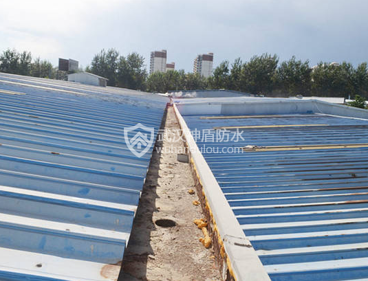 QQ浏览器截图20250301084343.png