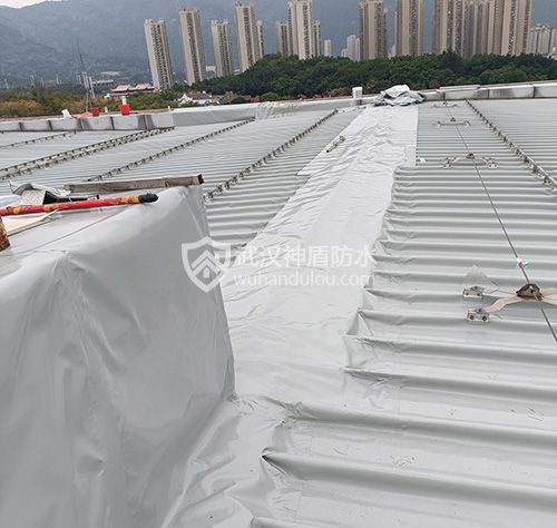 外露TOP防水卷材施工